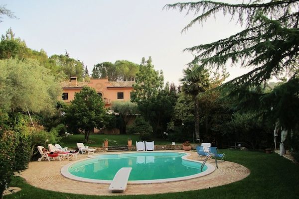 Kolam renang terbuka bermusim, payung kolam, kerusi lepak pantai