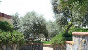 Un patio con macetas de piedra, olivos y un camino de ladrillo.