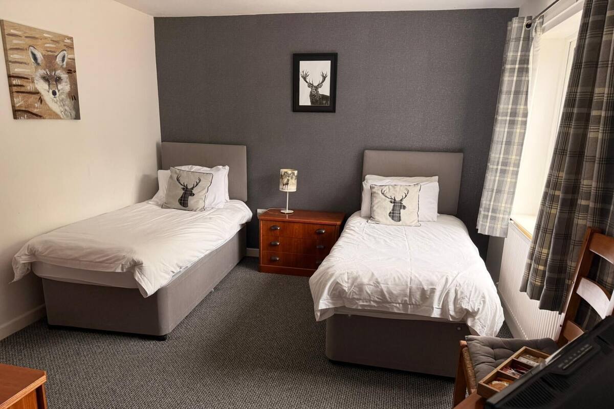 A double room with two beds, a small wooden nightstand, a desk with a chair, and a television.