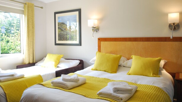 Habitación de hotel con dos camas, cada una con ropa de cama y almohadas amarillas, un cuadro en la pared y una ventana con cortinas.