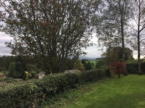 Ausblick vom Zimmer