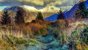 Sendero de montaña con parches de nieve, rodeado de árboles y bajo un cielo nublado.