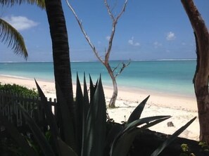 On the beach, sun loungers, beach towels, beach massages - Thalassa Residence (Belle Mare)