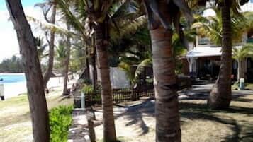 Plage, chaises longues, serviettes de plage, massages sur la plage