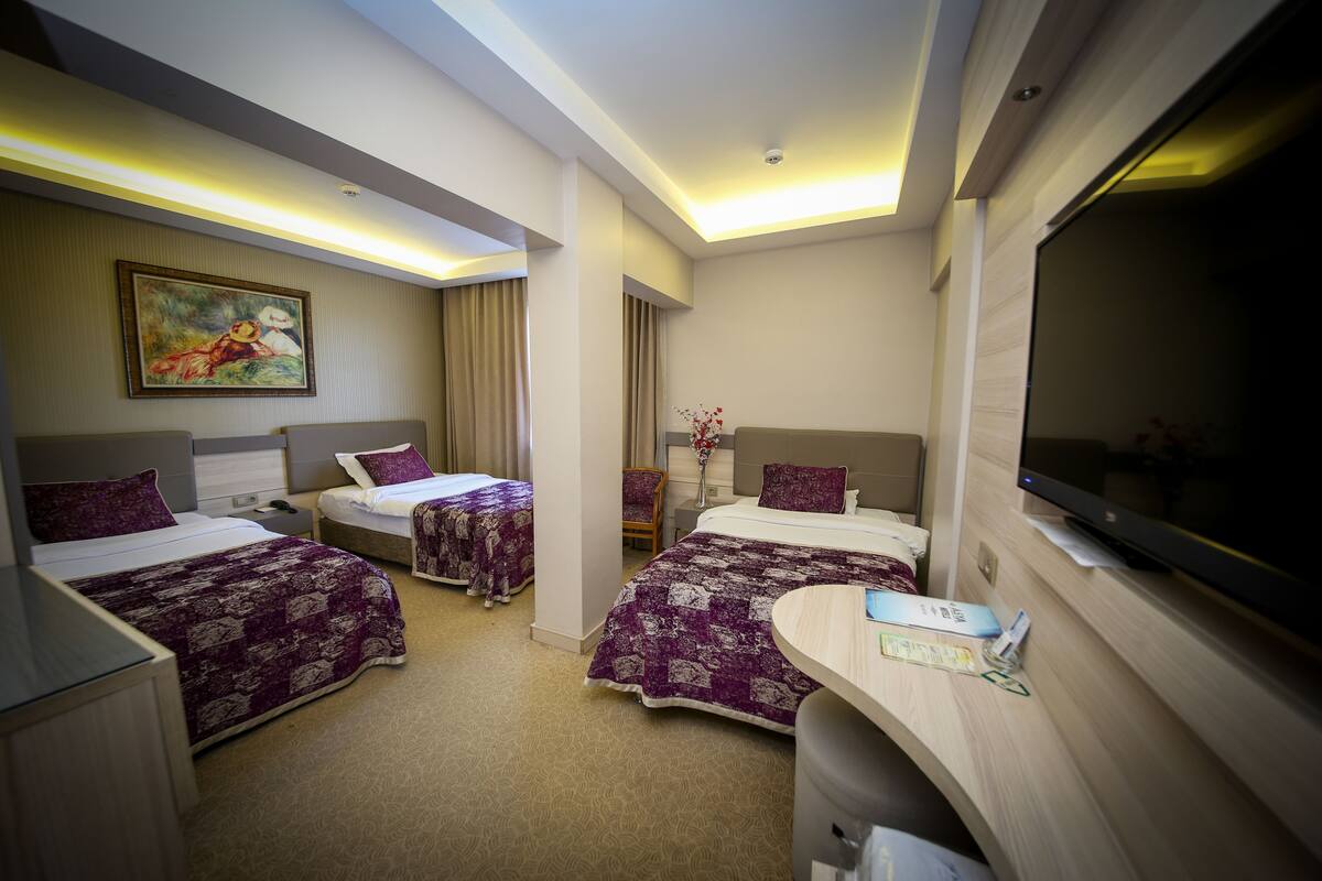 Habitación de hotel con dos camas, un escritorio, un televisor y un cuadro en la pared.