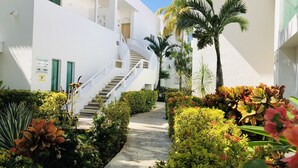 Un edificio blanco con una escalera que conduce a un segundo piso, rodeado de abundante vegetación y palmeras.