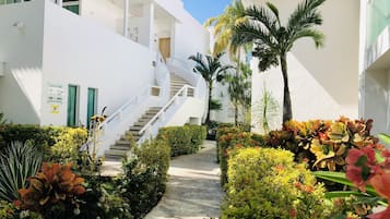 Jardin