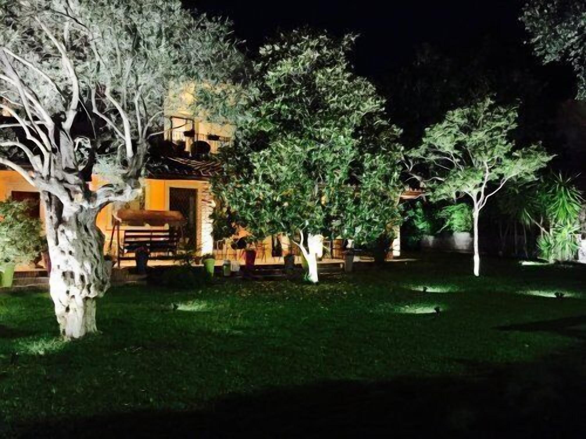 A nighttime view of a well-lit outdoor area with a large tree, a building with a balcony, and a grassy lawn.