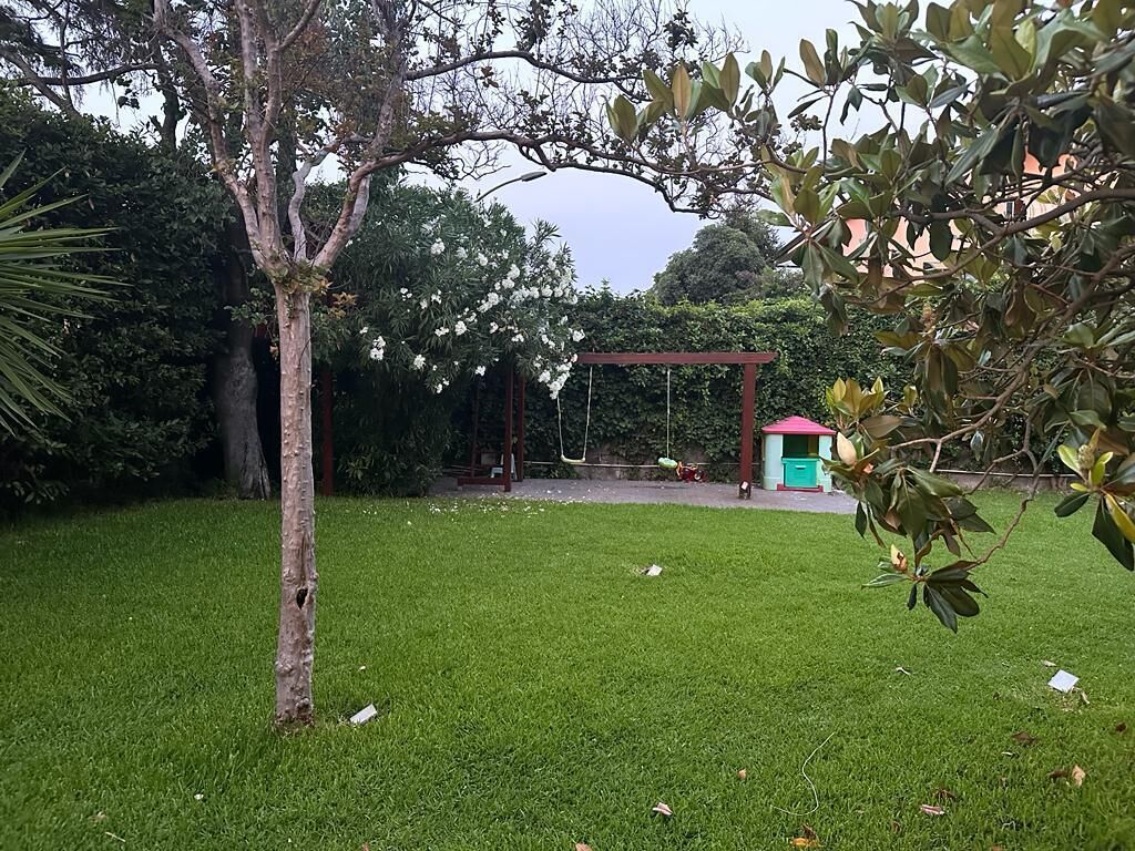 Un espacio verde con un columpio y una pequeña construcción.