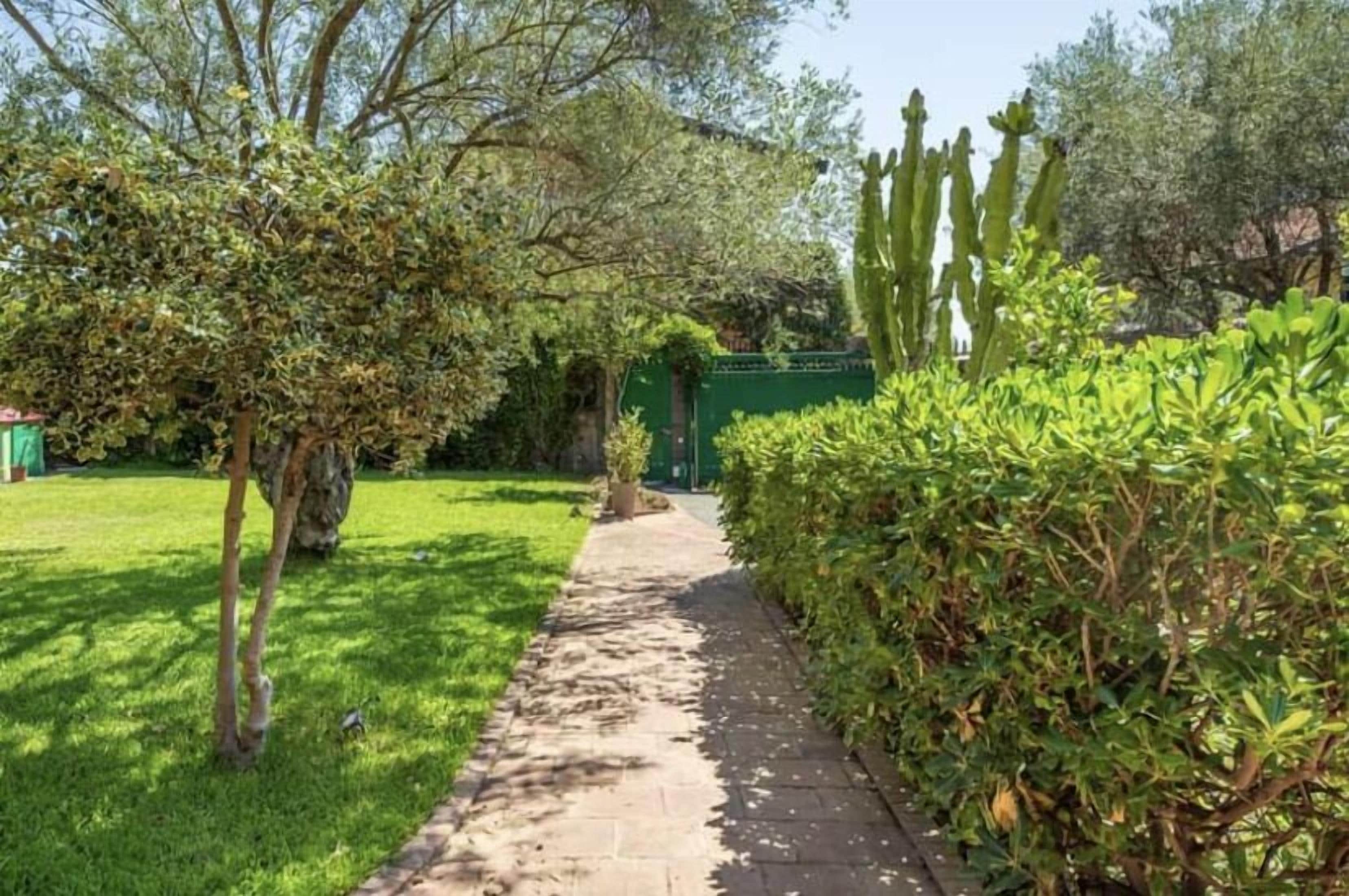 A pathway leading through a garden with various plants and trees.