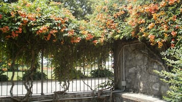 施設の敷地
