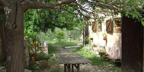 Property grounds - Agriturismo Terra di Pace (Noto)