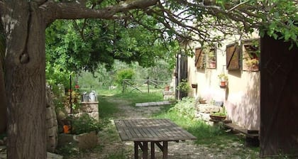 Agriturismo Terra di Pace