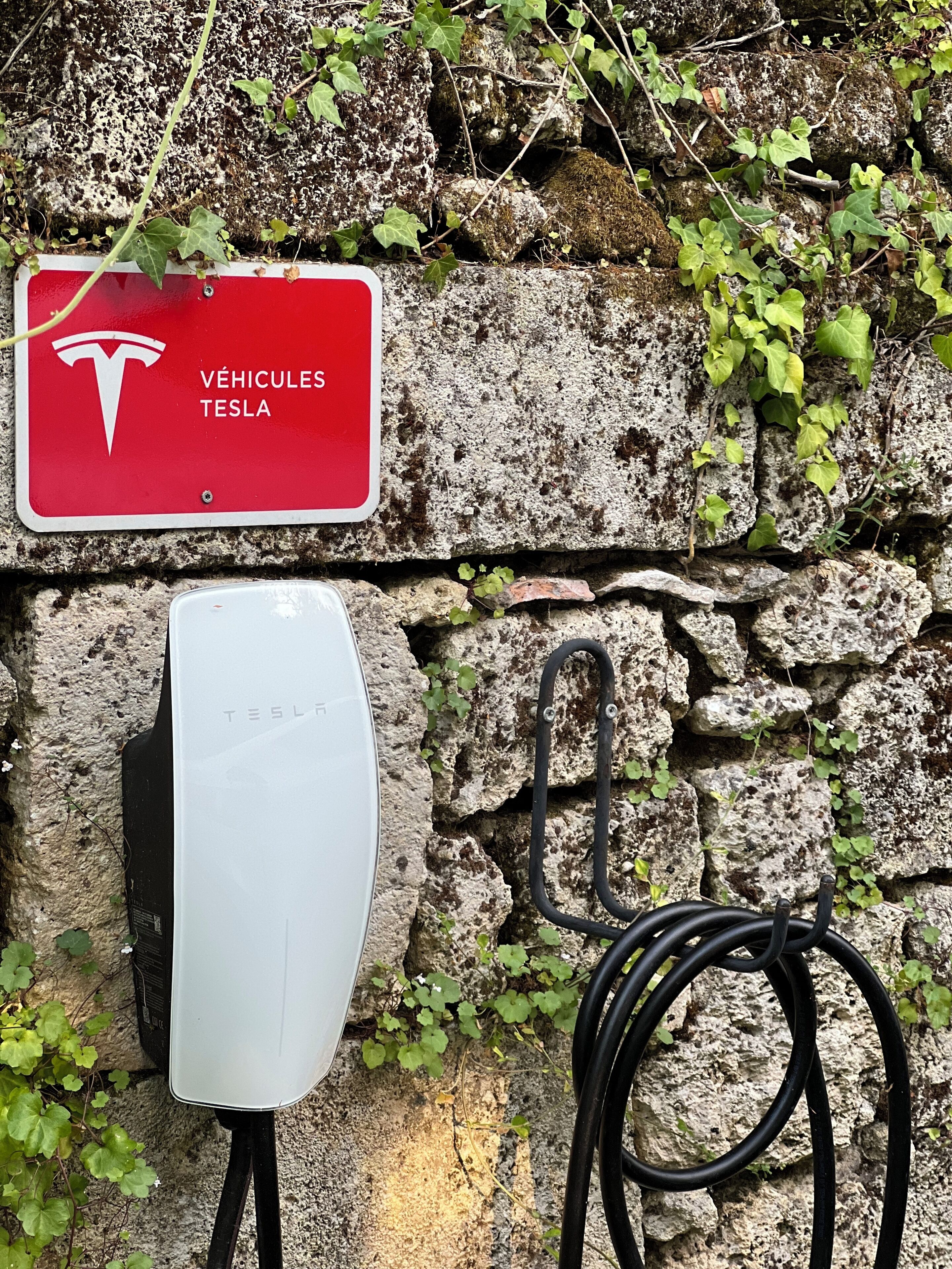 Eine Tesla Ladestation an einer Steinmauer, umrankt von Efeu.