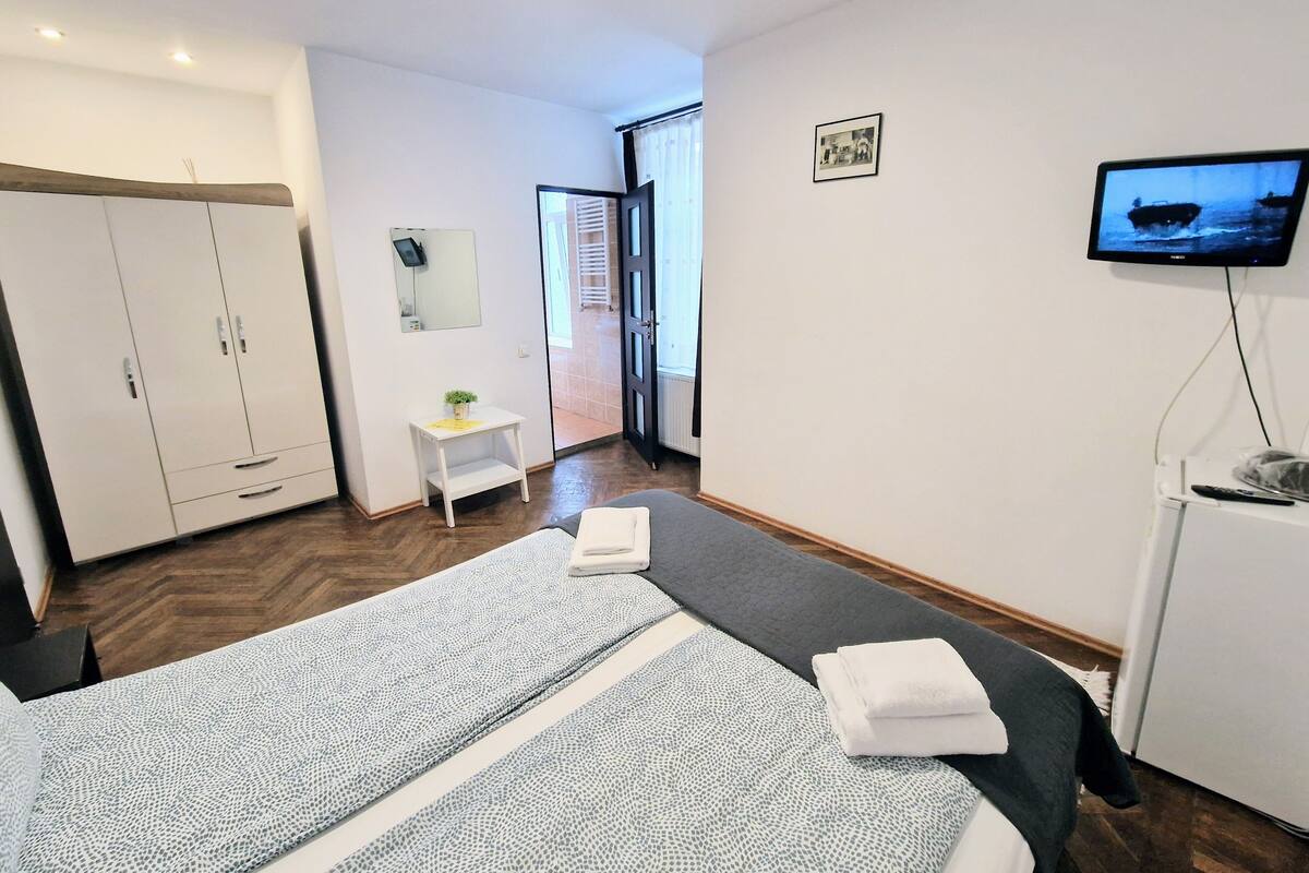 A hotel room with a bed, a wardrobe, a small table with a plant, a television, and a view of the outside.