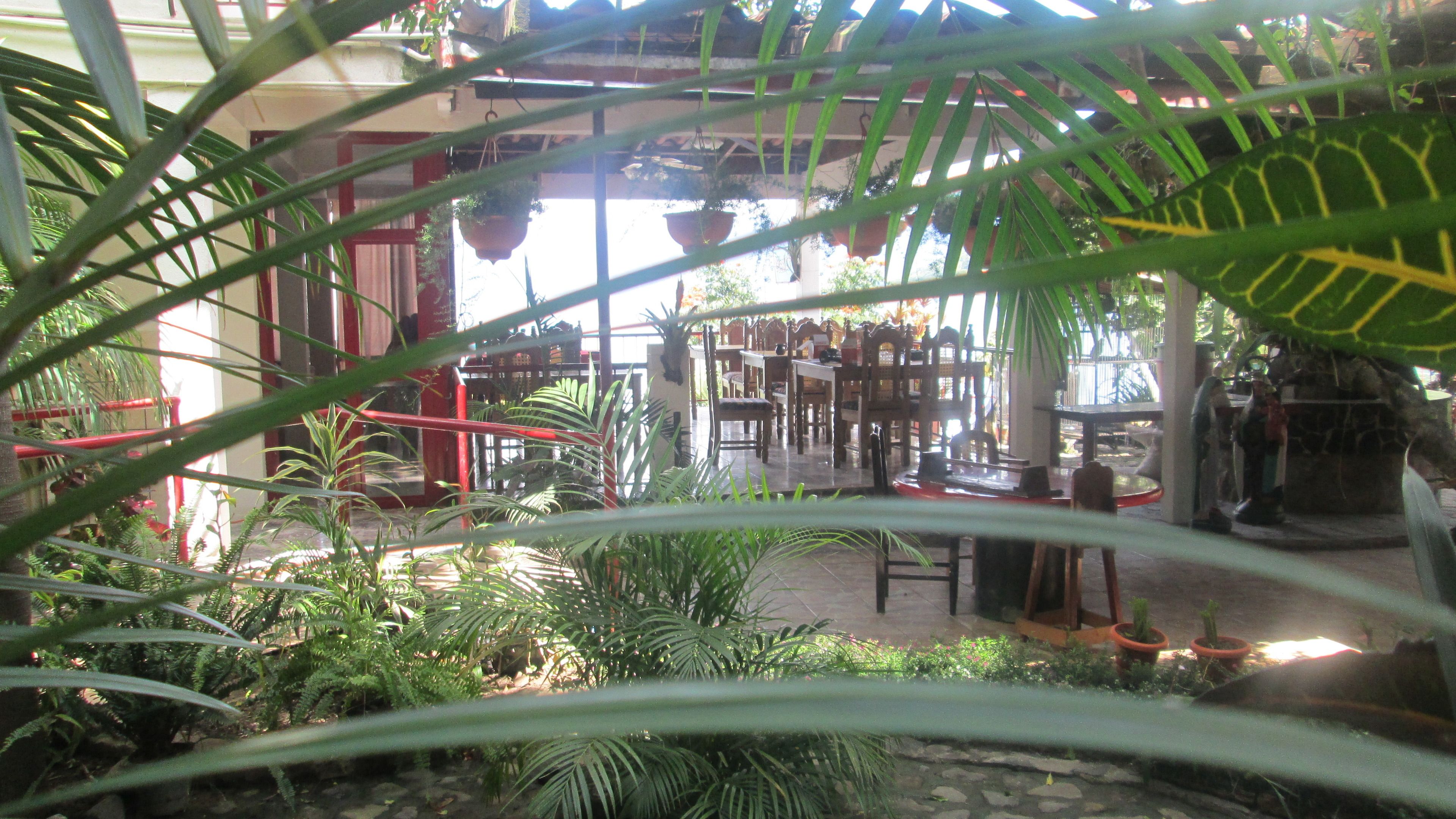 senior room, accessible, fireplace | restaurant