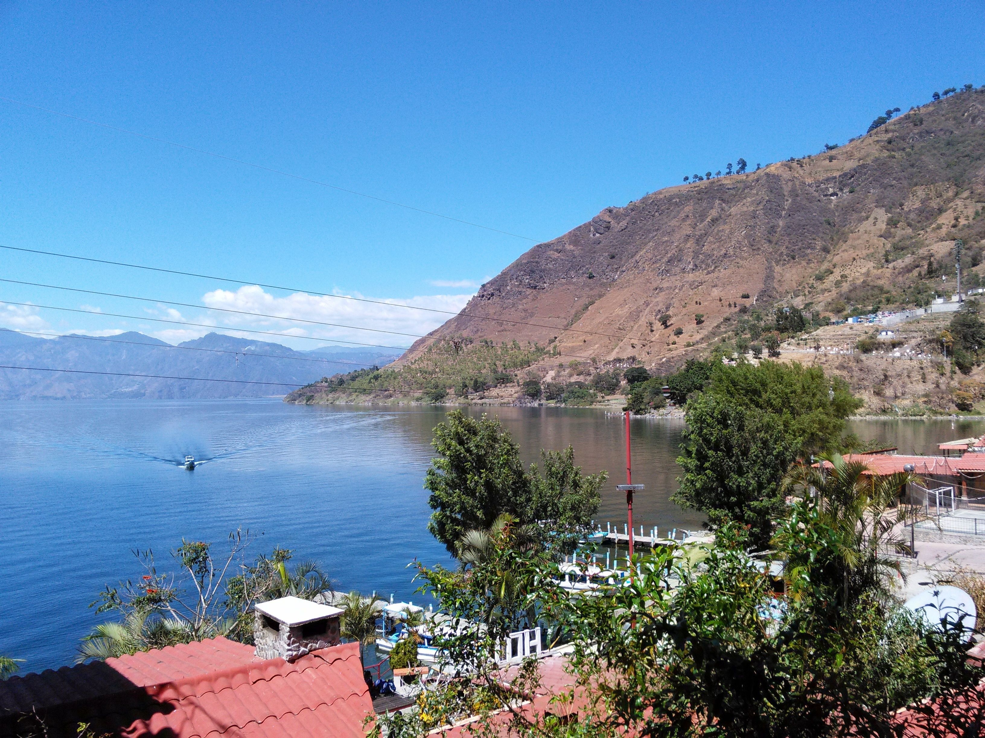 executive tree house, accessible, lake view | beach/ocean view