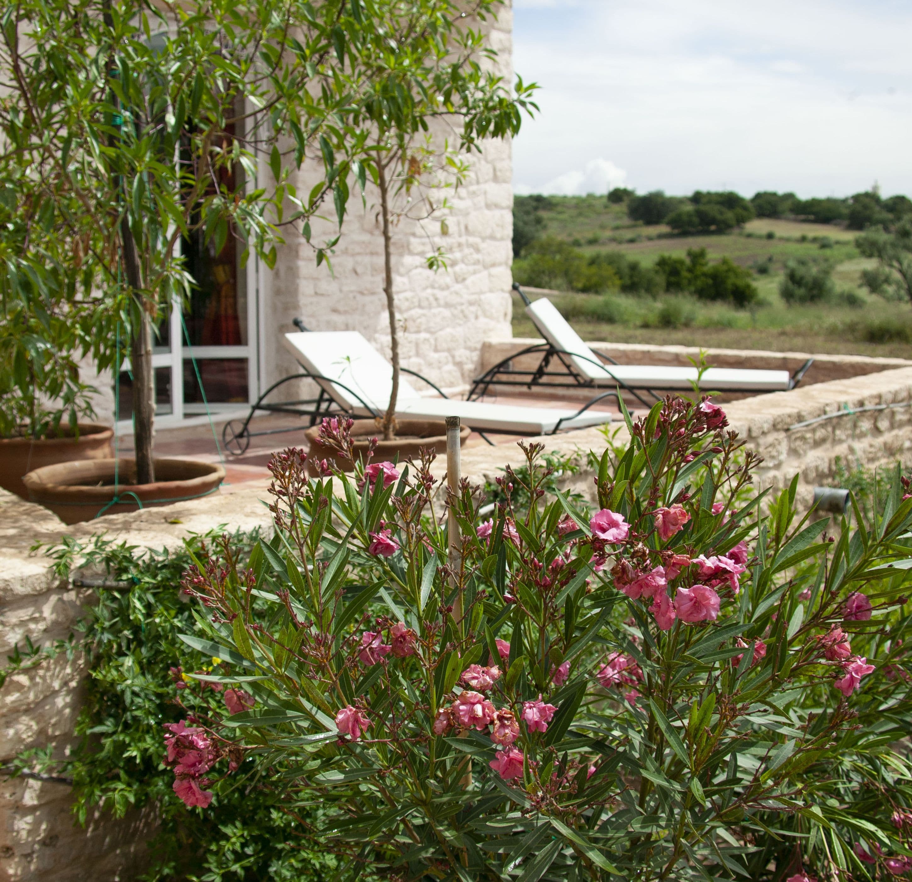 尊贵客房, 1 间卧室, 公园景观 (Safran) | 露台