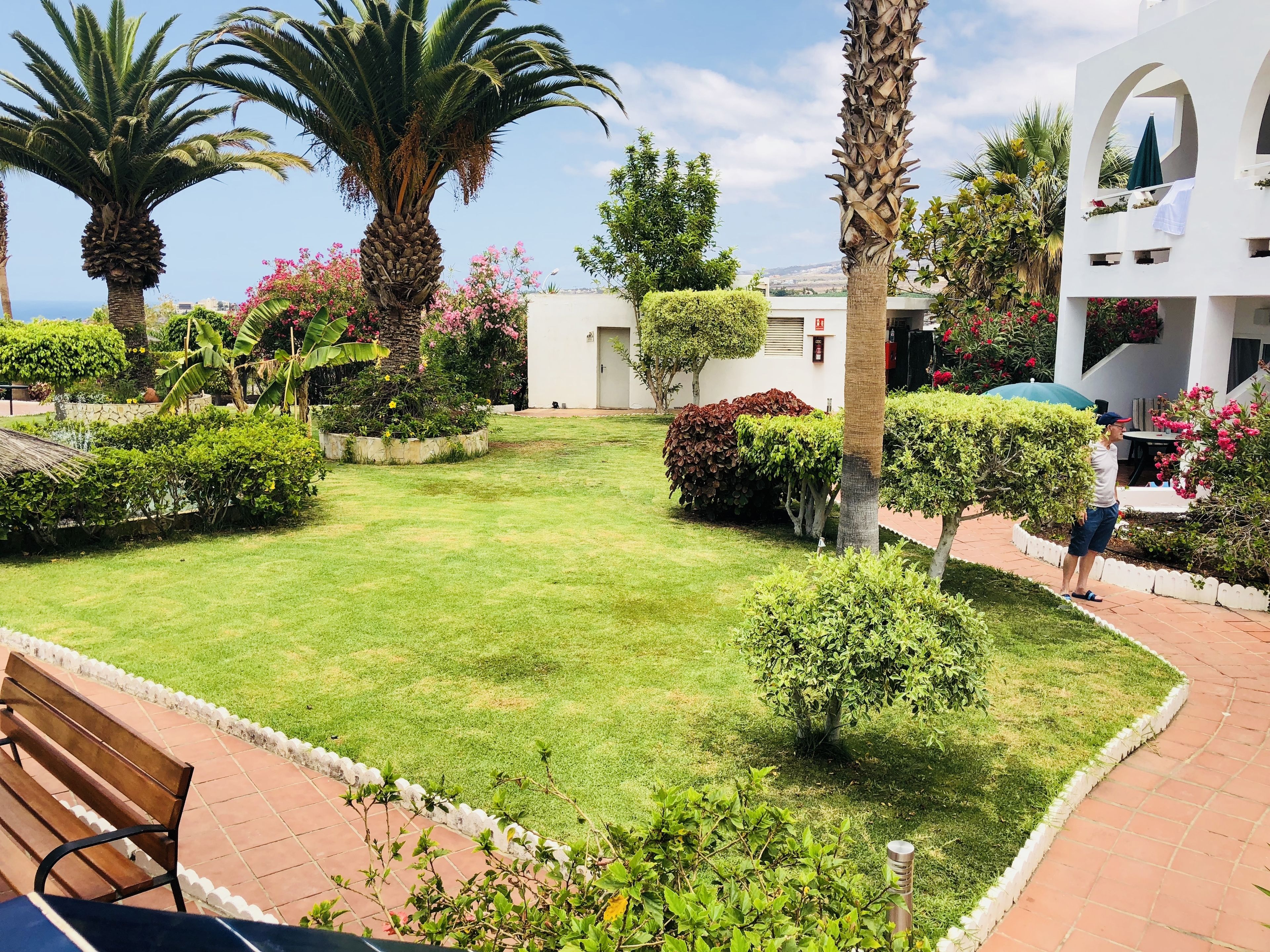 A well-maintained garden with palm trees, flowering plants, and a paved pathway.