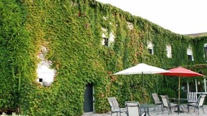 A building covered in ivy with outdoor seating and umbrellas. - Pazo Carrasqueira (Ribadumia)