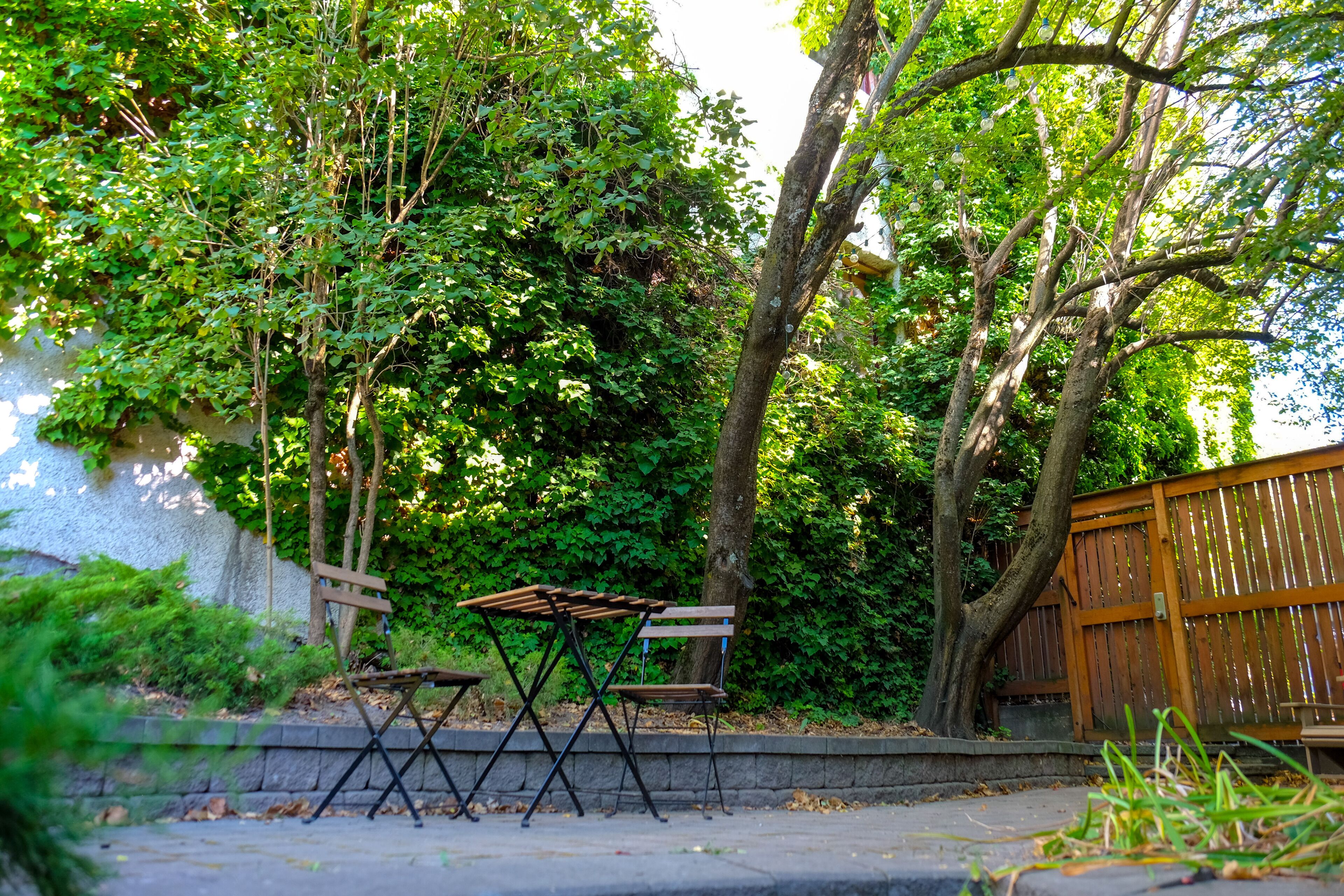 Un patio con mesa y sillas de madera, rodeado de abundante vegetación y árboles.