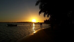 Di pantai, pasir putih, pengangkutan ulang-alik pantai