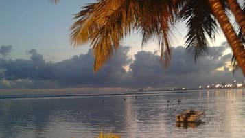 Une plage avec une table et des chaises, des palmiers et une mer calme.
