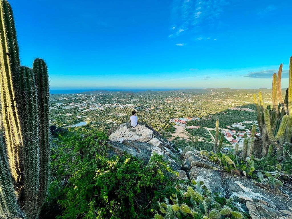 Eine Person sitzt auf einem Felsen und blickt auf eine Landschaft mit Kakteen und einer in der Ferne liegenden Stadt.
