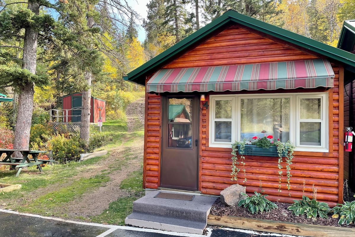 Comfort Cabin (No Pets) | View from room