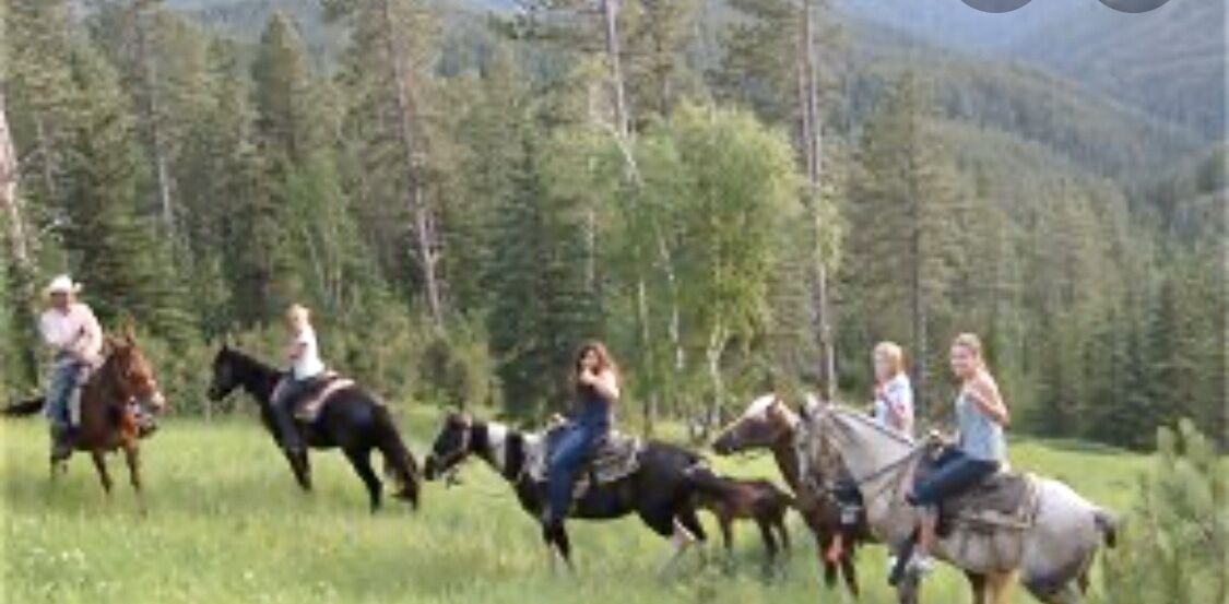 A group of people riding horses in a grassy field with trees in the background.