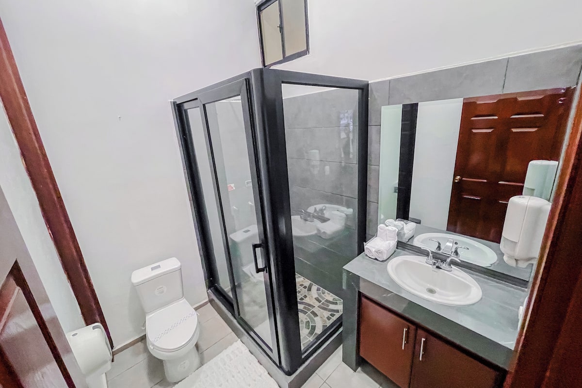 A modern bathroom with a glass-enclosed shower, a toilet, a sink, and a mirror.