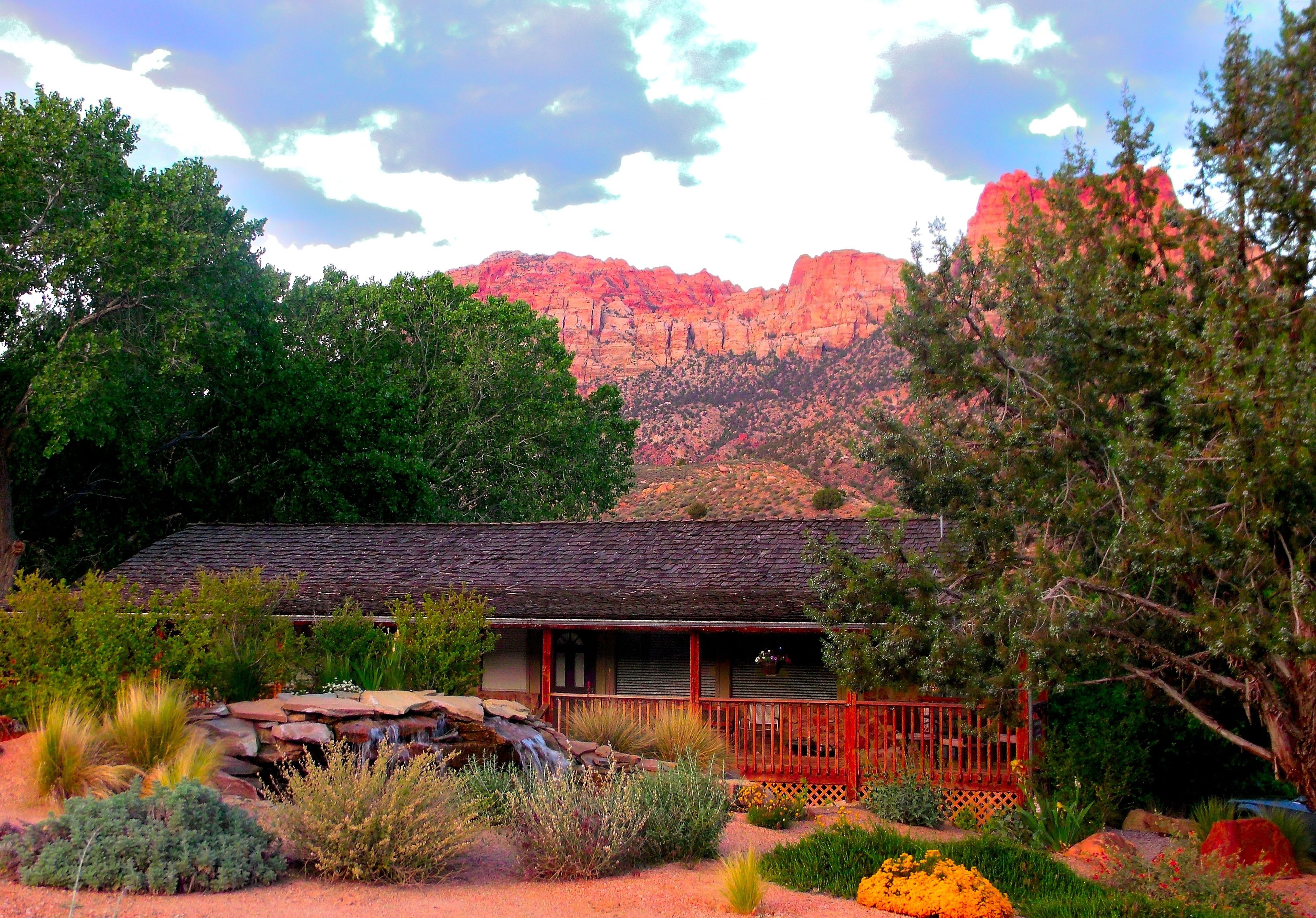 A rustic cabin with a porch, surrounded by a landscaped garden with various plants and a small waterfall.