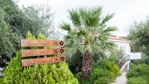 A pathway leading to a building with a reception sign, a parking sign, and a playground sign.