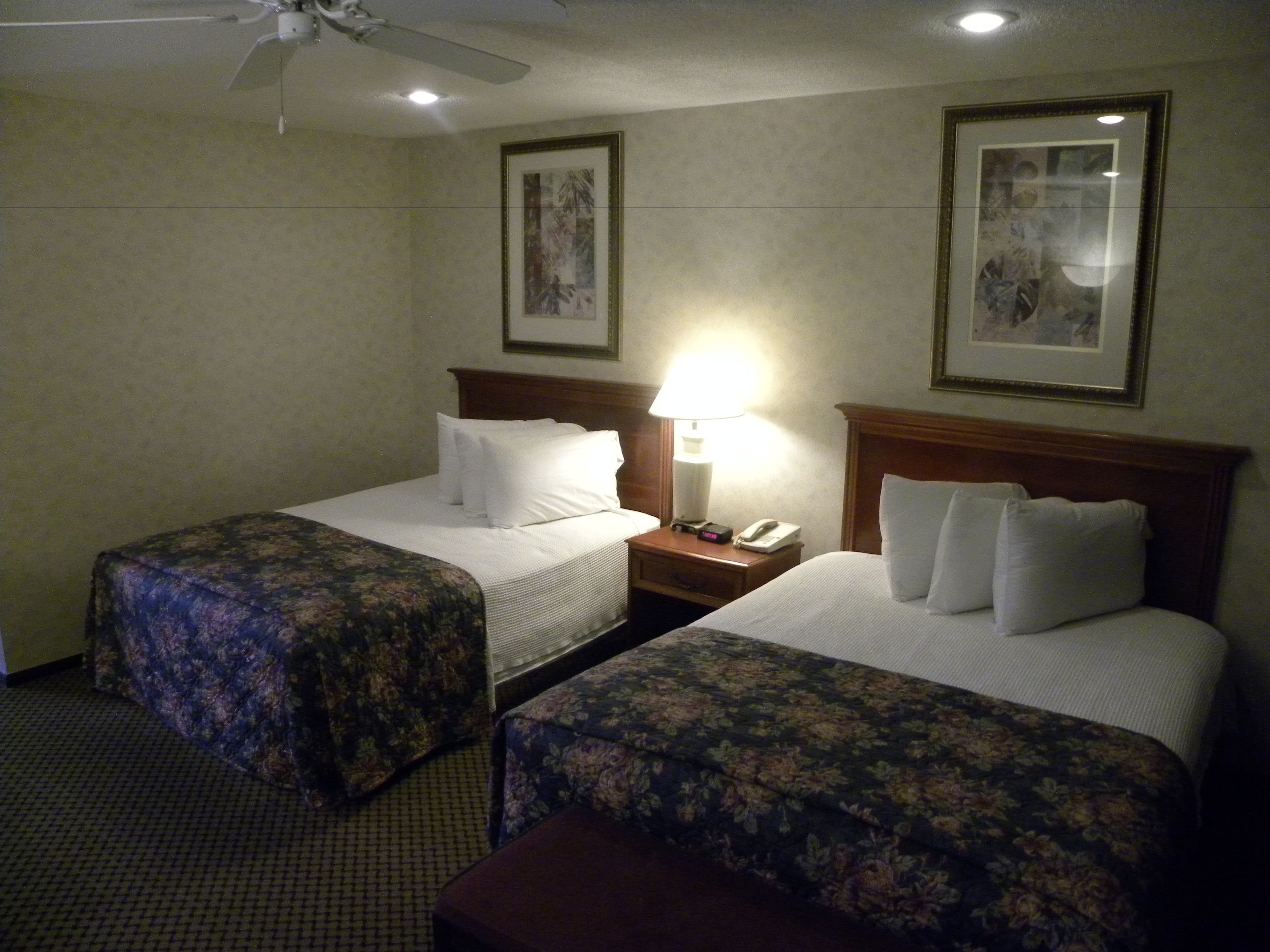 Standard Double Room, 2 Double Beds, Pool Access, Ground Floor | Desk, laptop workspace, blackout curtains, free WiFi
