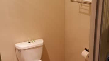 Bañera con ducha, artículos de tocador gratuitos, secador de pelo