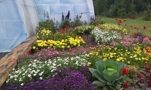 Un jardín con diversas flores y plantas, que incluyen flores amarillas, púrpuras y blancas, además de una planta verde grande al frente.