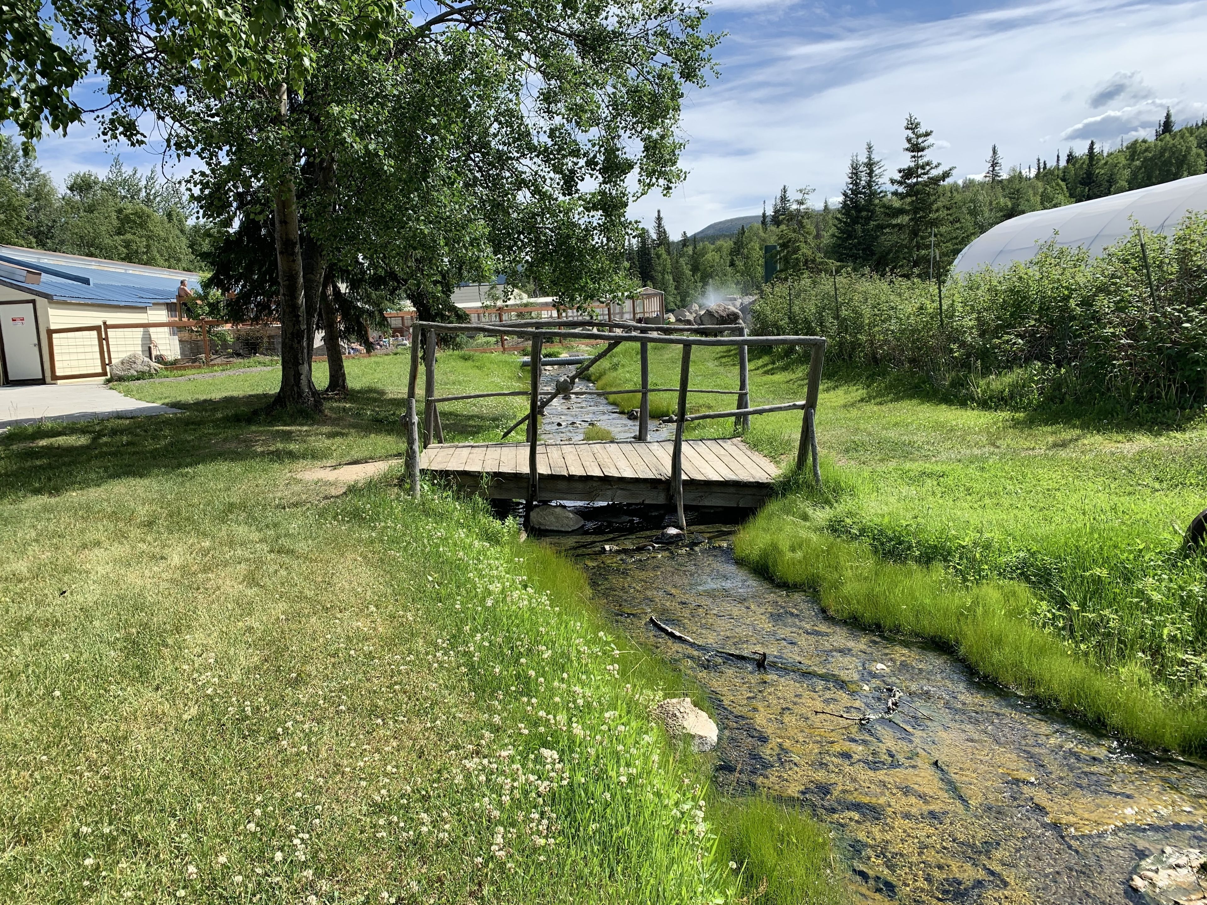 Un pont en bois enjambant un petit ruisseau dans un parc, avec des arbres et un bâtiment en arrière-plan.