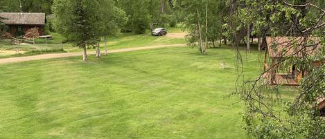Un prato erboso con un'auto parcheggiata su un sentiero sterrato, circondato da alberi e un edificio con tetto spiovente.