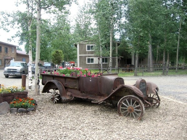 An antique truck with a flatbed trailer filled with flowers, parked on a gravel surface with trees and a building in the background.