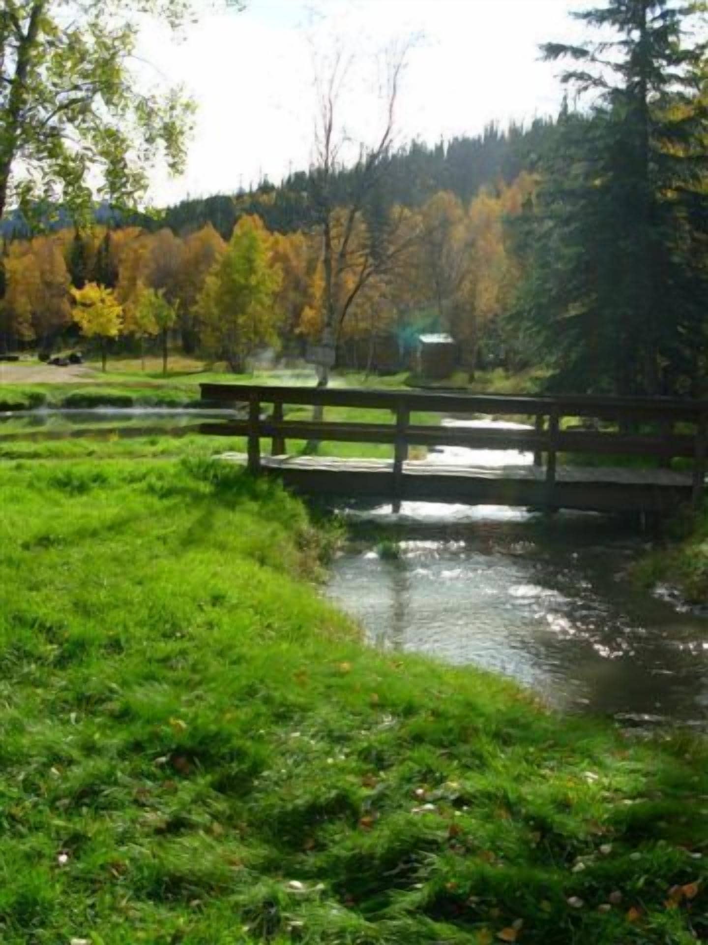 A wooden bridge over a calm river, surrounded by lush greenery and trees with autumn foliage.