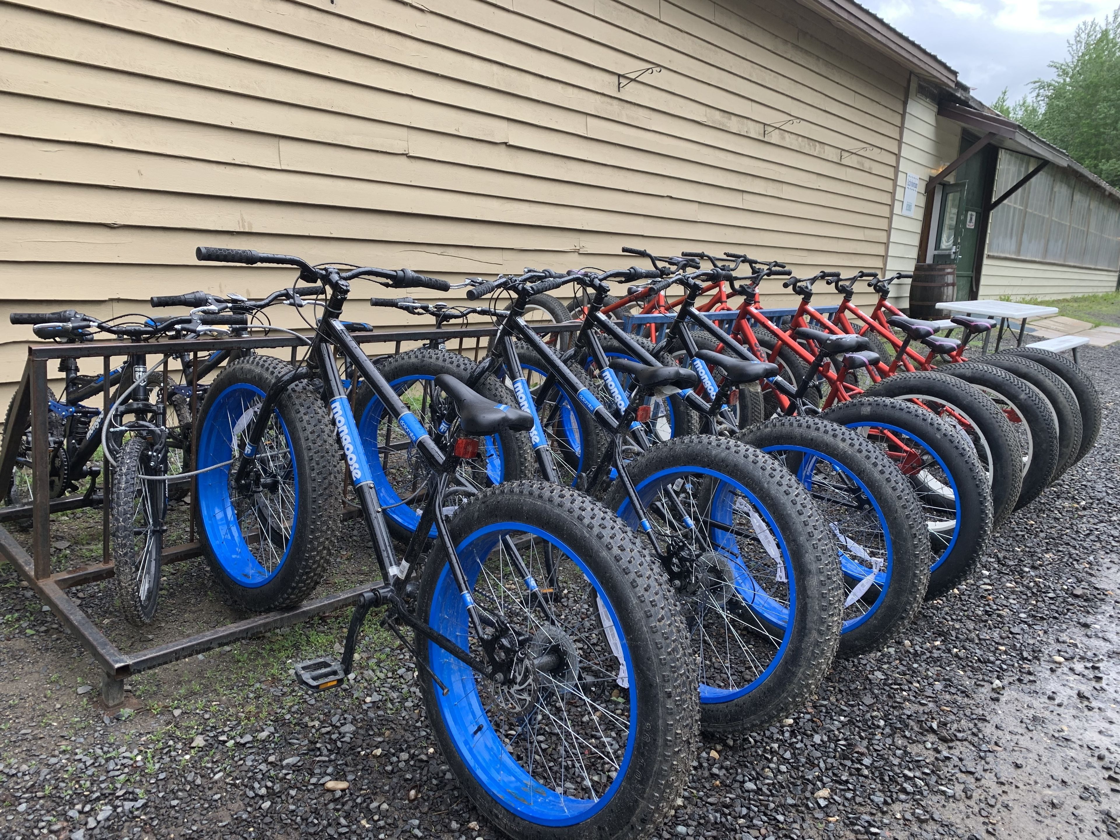 A row of bicycles with blue tires parked outside a building with a beige exterior.