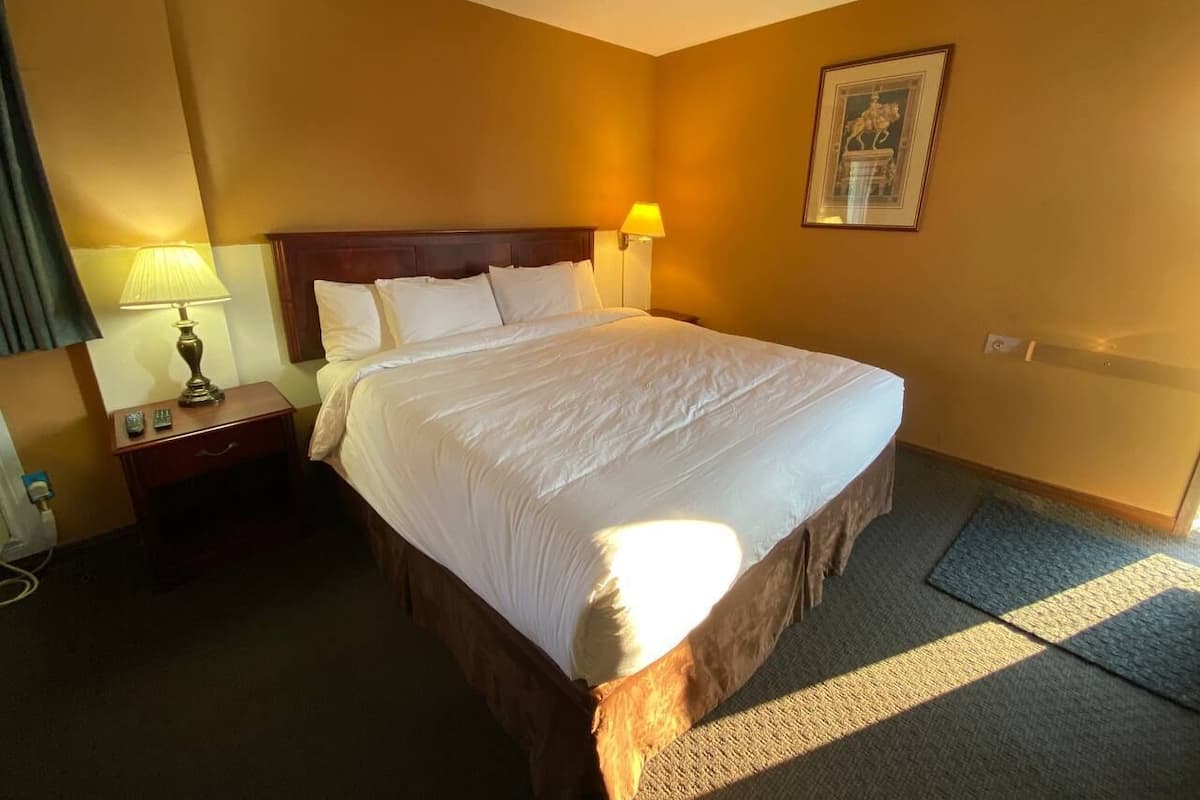 A hotel room with a large bed, a nightstand with a lamp, and a framed picture on the wall.