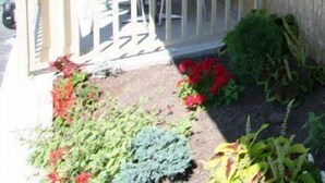 A covered outdoor seating area with tables and chairs, a wooden fence, and a variety of plants. - Wainfleet Motel & Restaurant (Wainfleet)