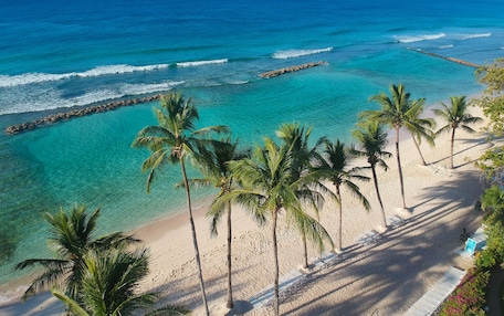A beach with clear turquoise waters, palm trees, and a rocky breakwater.