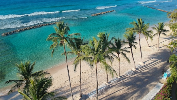 Una playa con aguas turquesas cristalinas, palmeras y un rompeolas rocoso.