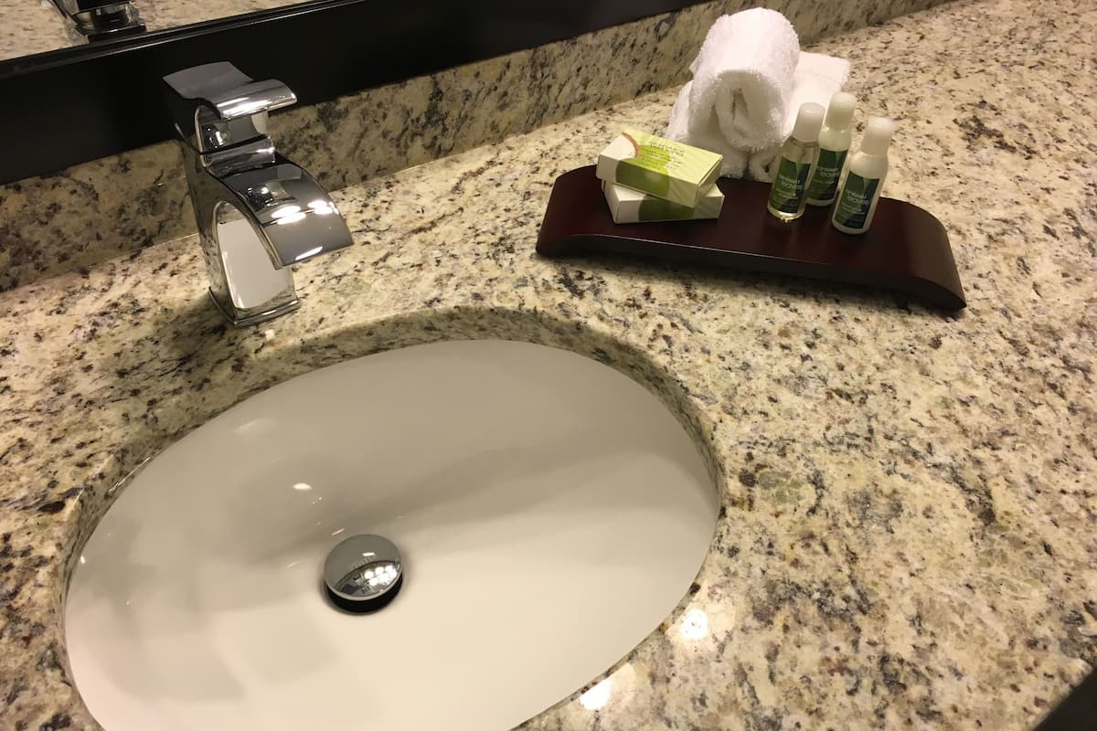 combined shower/bathtub, free toiletries, hair dryer, towels