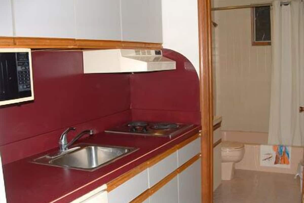 Executive Suite, 1 Bedroom, Kitchenette | Dapur peribadi | Peti sejuk, ketuhar gelombang mikro