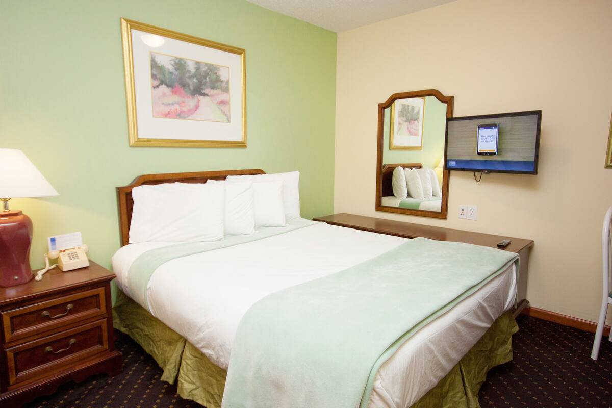 Une chambre d’hôtel comprenant un lit, une table de chevet avec une lampe et un téléphone, un téléviseur fixé au mur et un miroir.