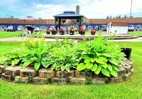 Área para churrasco/piquenique