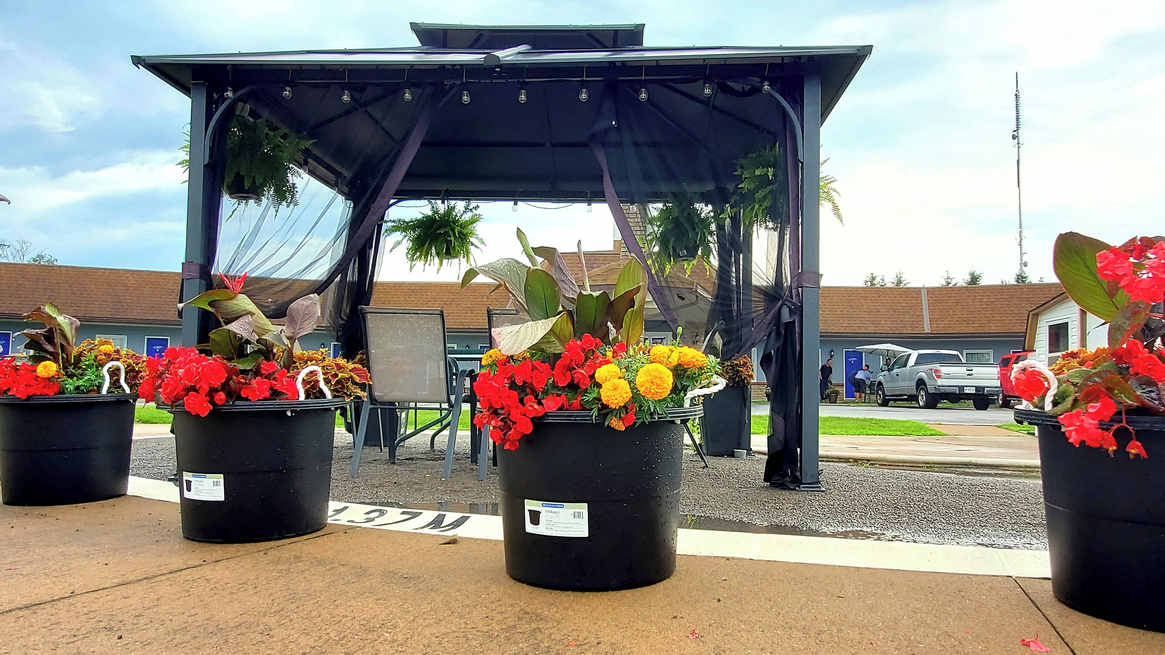 A covered outdoor area with potted plants and a gazebo.